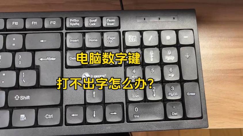 电脑上输不了数字是怎么回事
