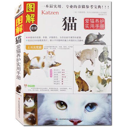 初次养猫注意事项