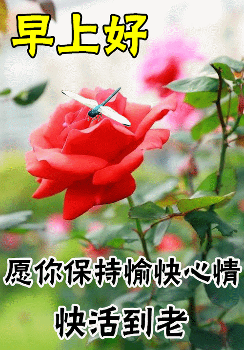 2021年今天最火早安图片