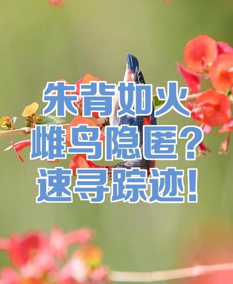如何不用对方同意知道对方位置?图标