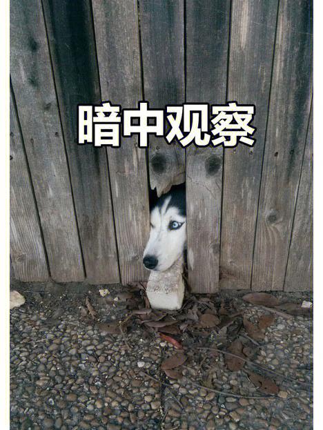 怎么屏蔽暗中观察之人