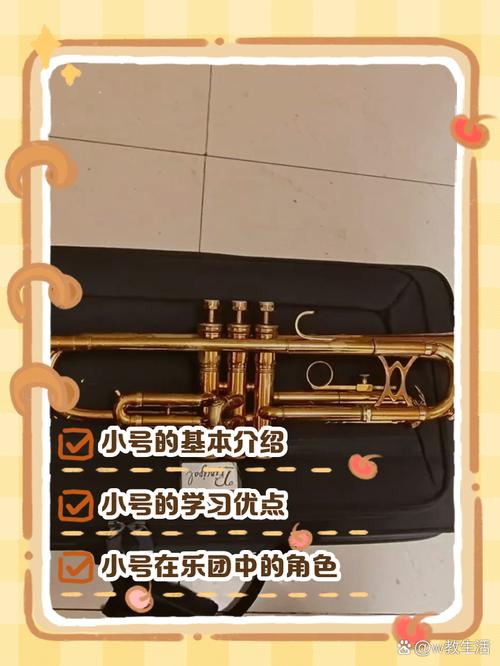 中州带小号的方法截图