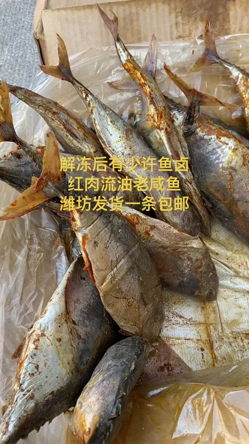 冷冻咸鱼可以放多久