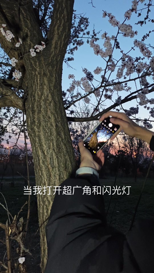 怎么开闪光灯拍照缩略图