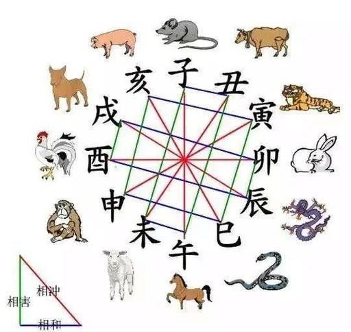 相冲和相克哪个更严重