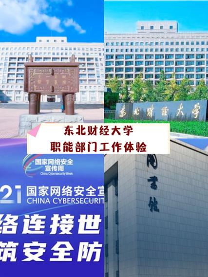 东北财经大学教务处官网