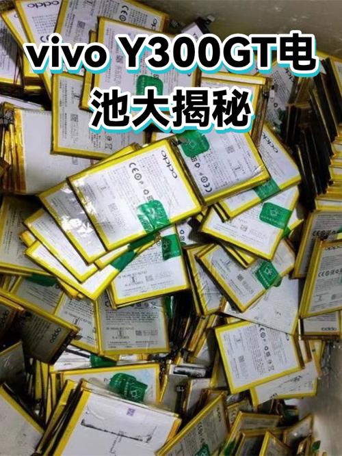 vivo电池检测