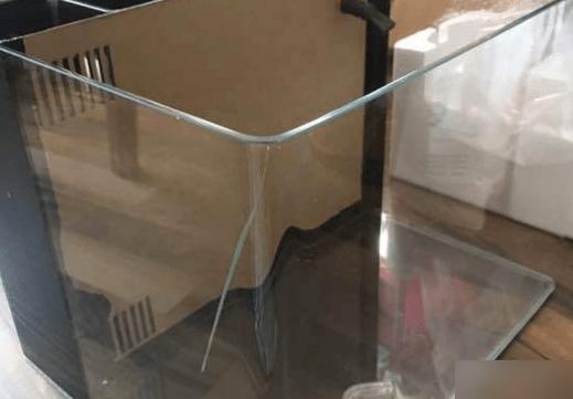 鱼缸打碎的十大预兆