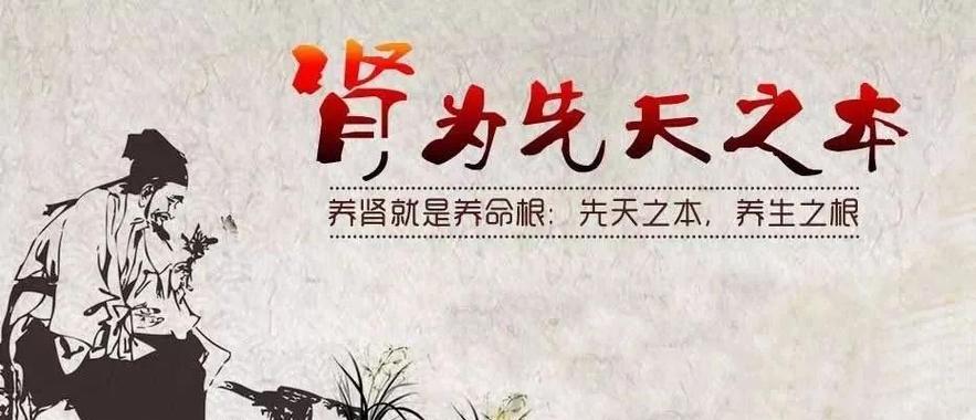 先天之本最佳答案是什么