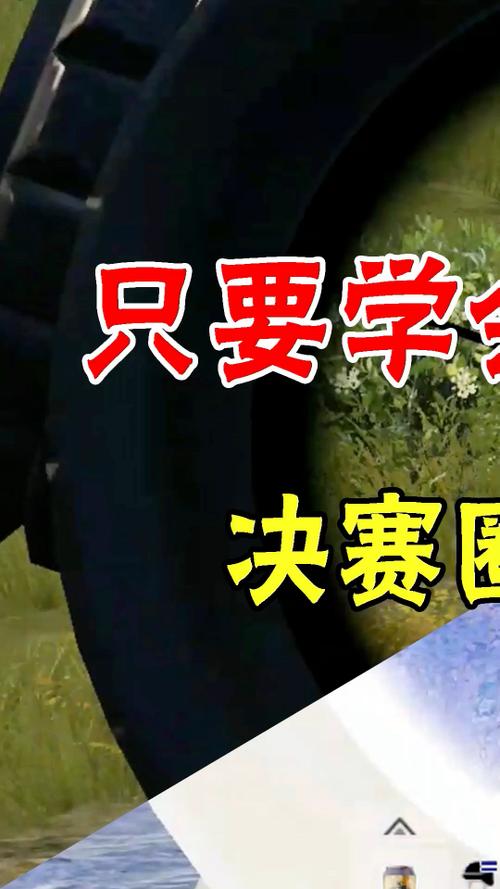 和平精英反转颜色发现伏地魔