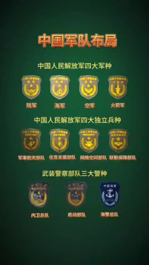 中国特殊兵种都有什么
