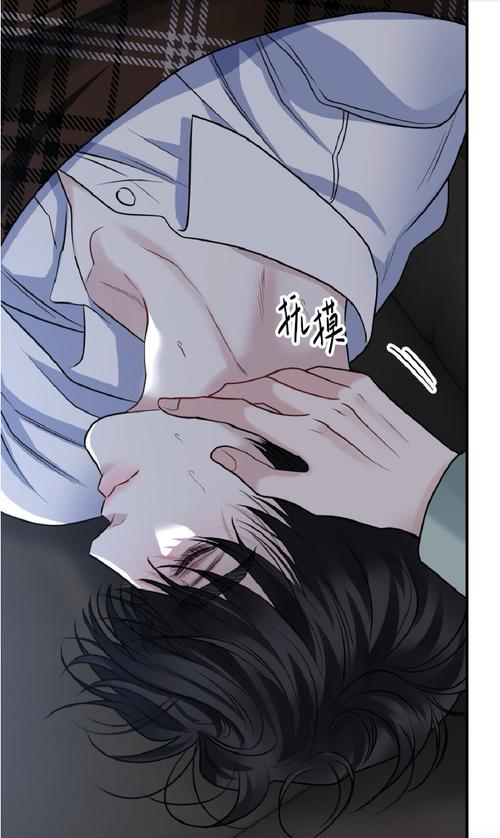无限曙光免费阅读