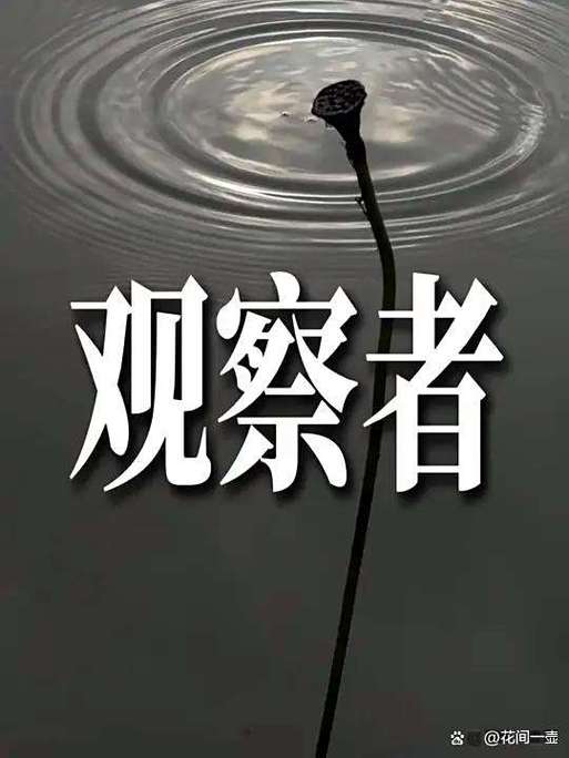 做自己的观察者