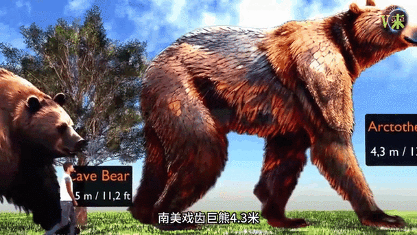 世界上最强的熊