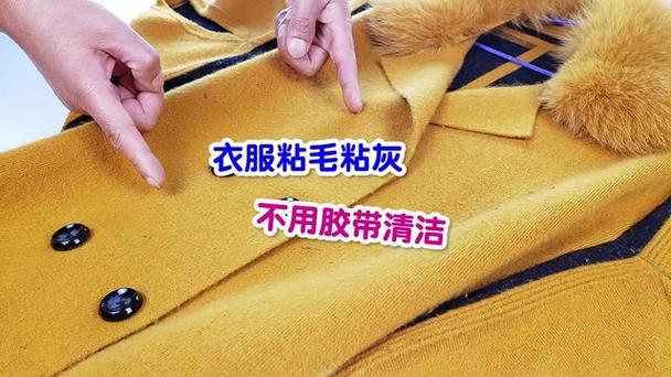 怎么避免羊毛大衣粘毛截图