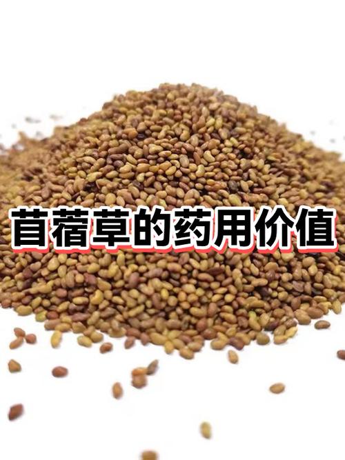 苜蓿草的营养成分表100g