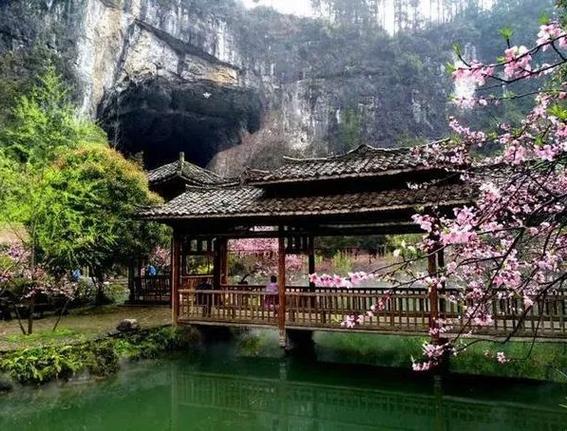 桃花源有没有挂