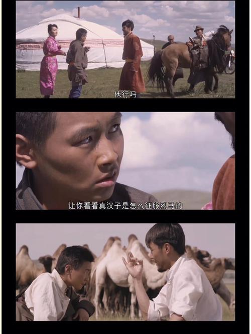 看黄金宝藏蒙古国完整版