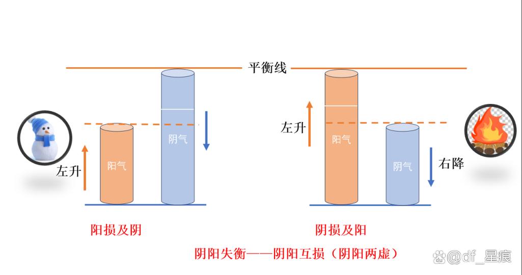 人体左阴右阳怎么理解