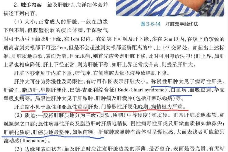 肝界上移什么病