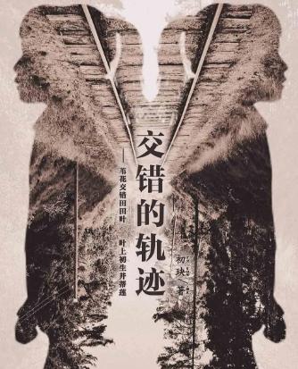 交错的轨迹剧本杀截图