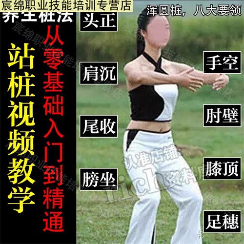 站桩教学视频完整版