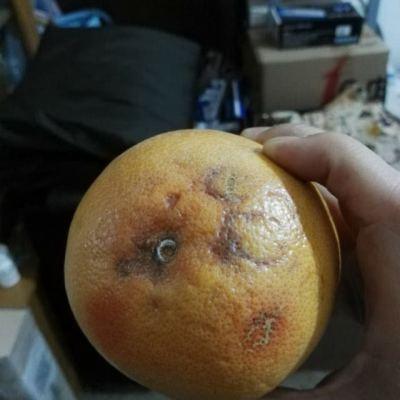 红心柚子坏的图片