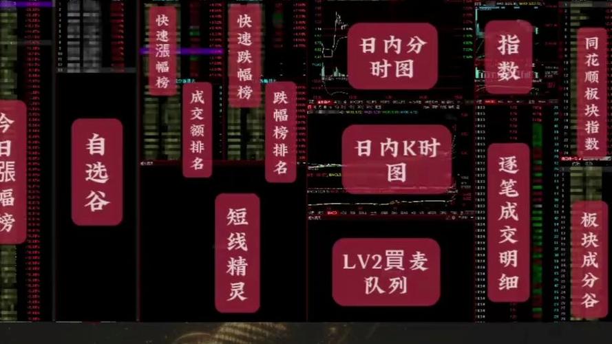陈小群看盘界面截图