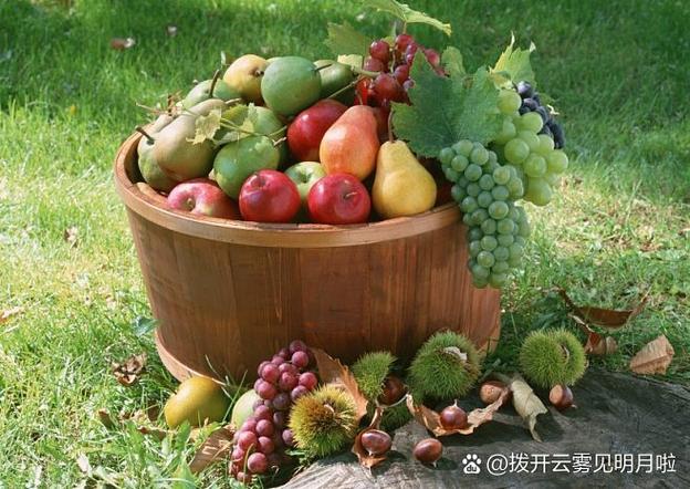 形容瓜果蔬菜丰收的成语