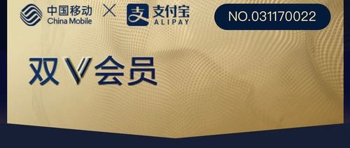 双v会员10g月包
