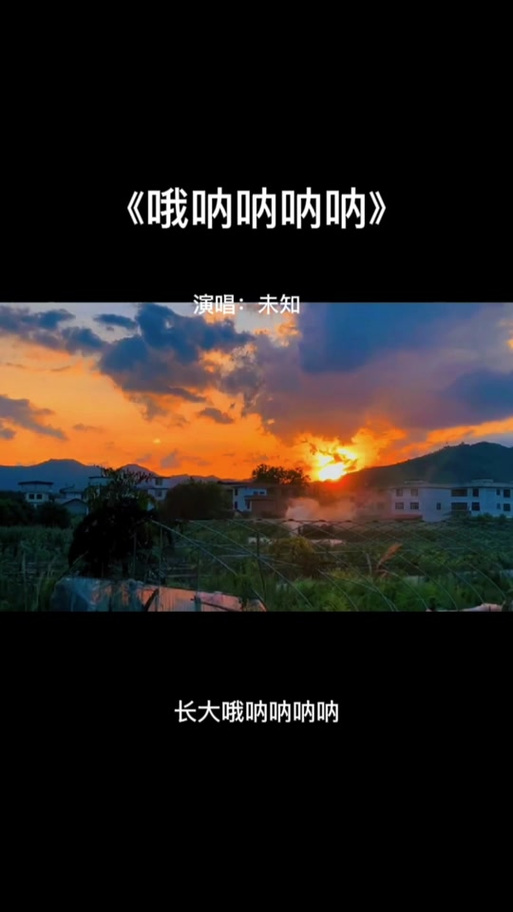 快手上很火的一首歌开头呐呐
