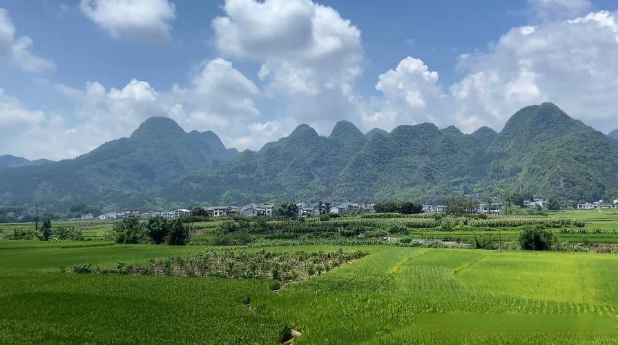 云游戏是画质越低耗流量越小吗截图