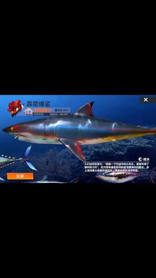 钓鱼发烧友自动钓鱼缩略图