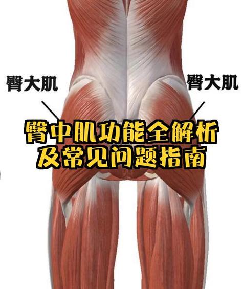 塞皮是人体的哪个部位