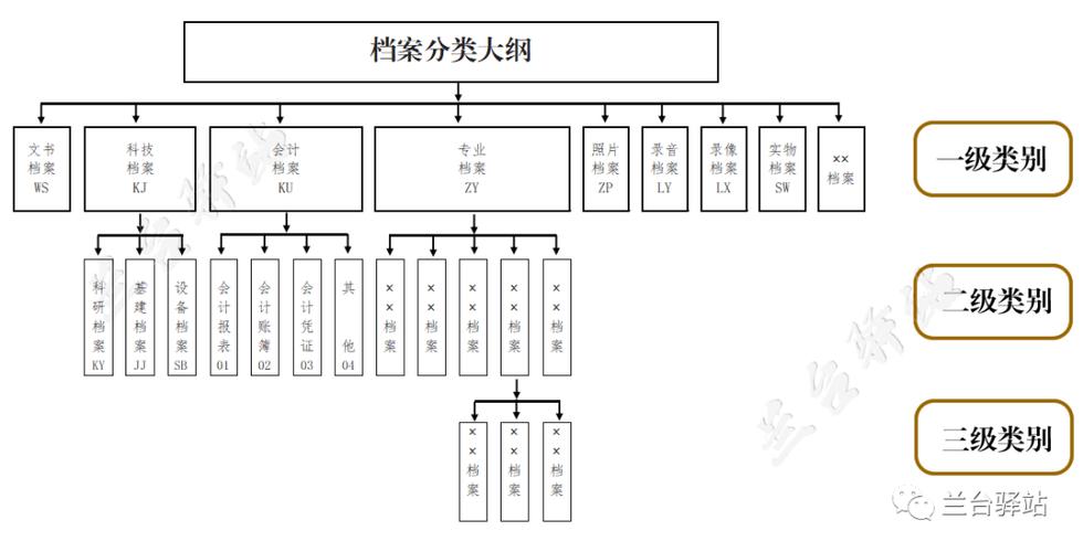 档案的载体形式包括