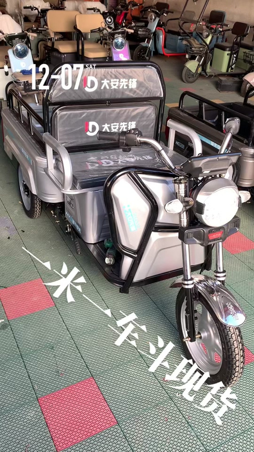 电动车市场占有率排名