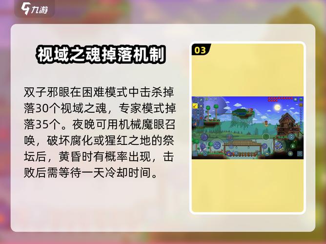 泰拉瑞亚视或之魂可以做什么