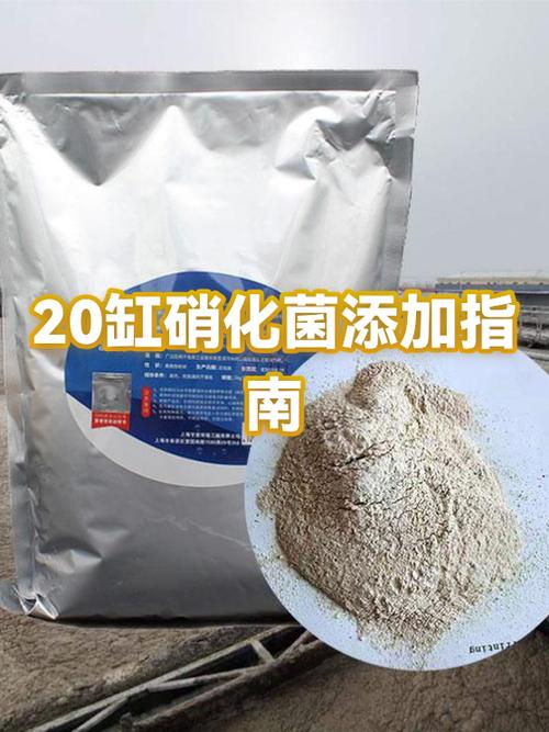 硝化细菌可以每天加吗图标