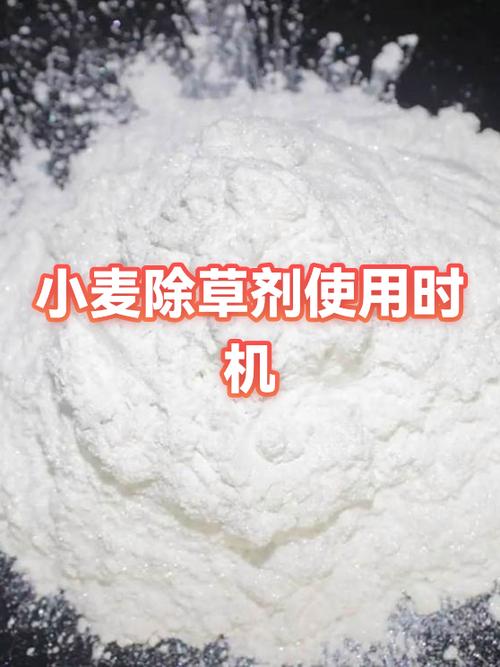 小麦最佳打除草剂时间
