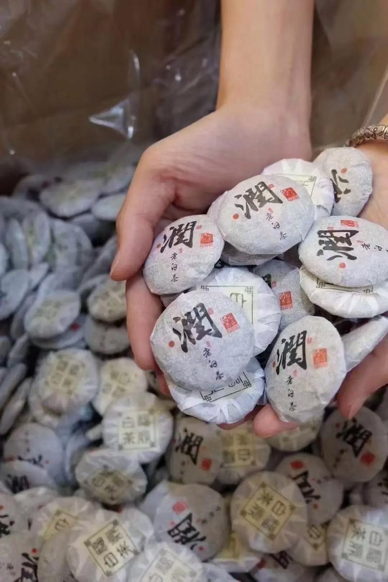 泡剧网在线观看游戏截图