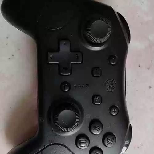 switchpro手柄震动缩略图