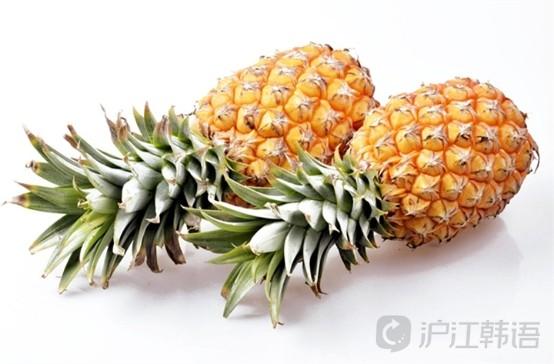 菠萝读音