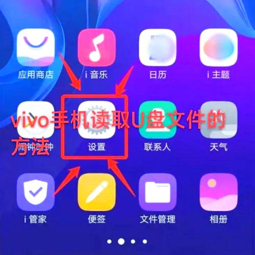 vivos60有1024G内存吗?
