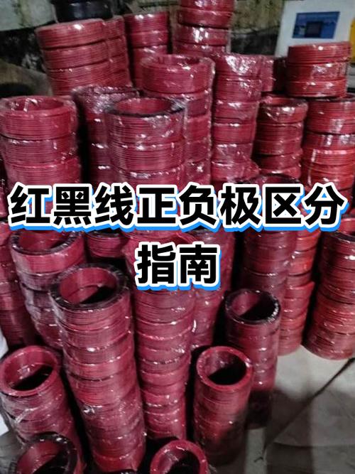 红黑是正极还是负极图标
