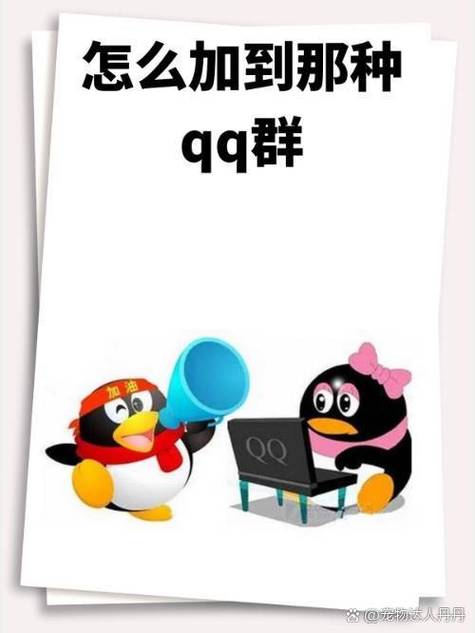 QQ群
