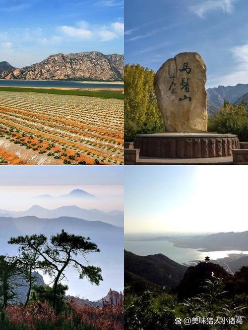 马䯃山到南京有多远截图