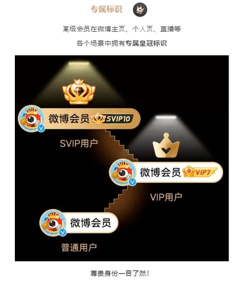 微博会员有什么功能缩略图