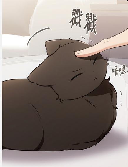 我家不可思议的猫咪汉化图标