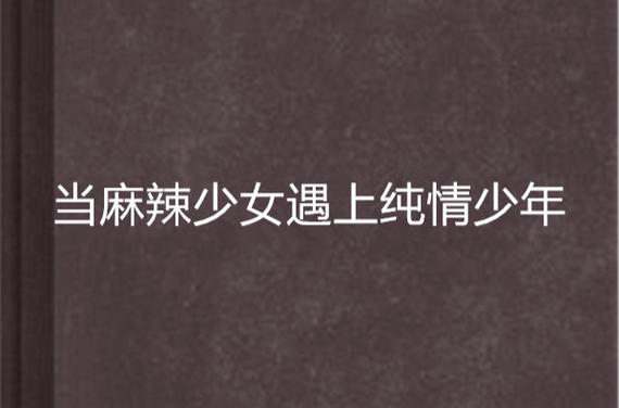 麻辣小说图标