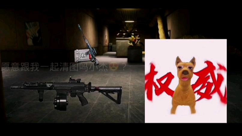 暗区突围s17小杰vss缩略图